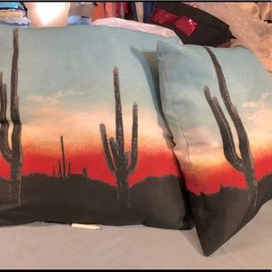 Western cactus pillows inside or out